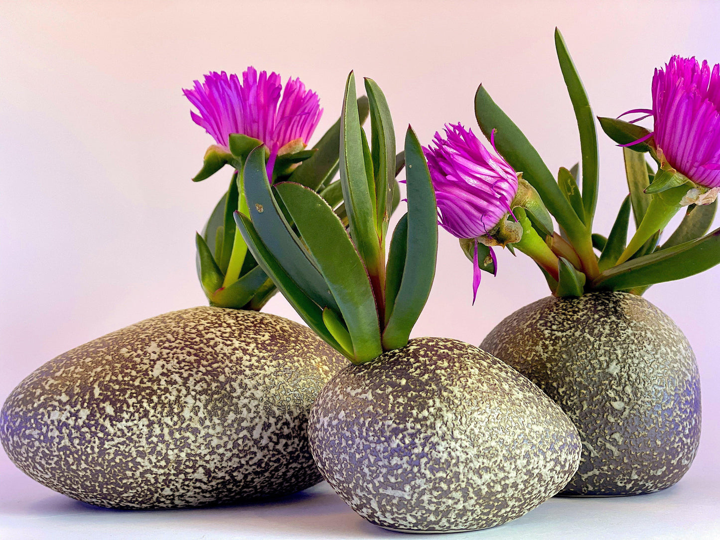 Wholesale - Pebble River Ceramics Living Green Decor
