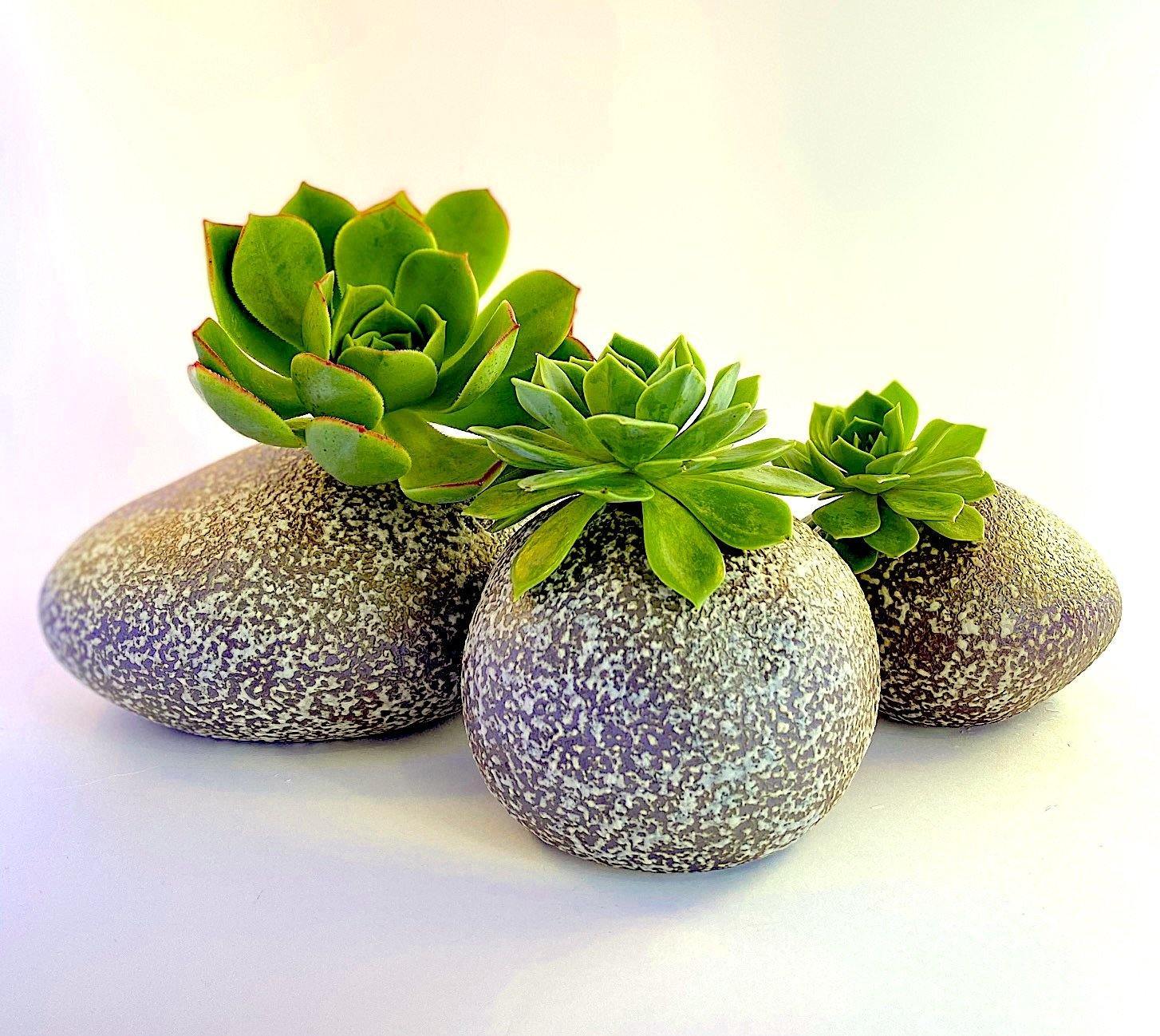 Wholesale - Pebble River Ceramics Living Green Decor
