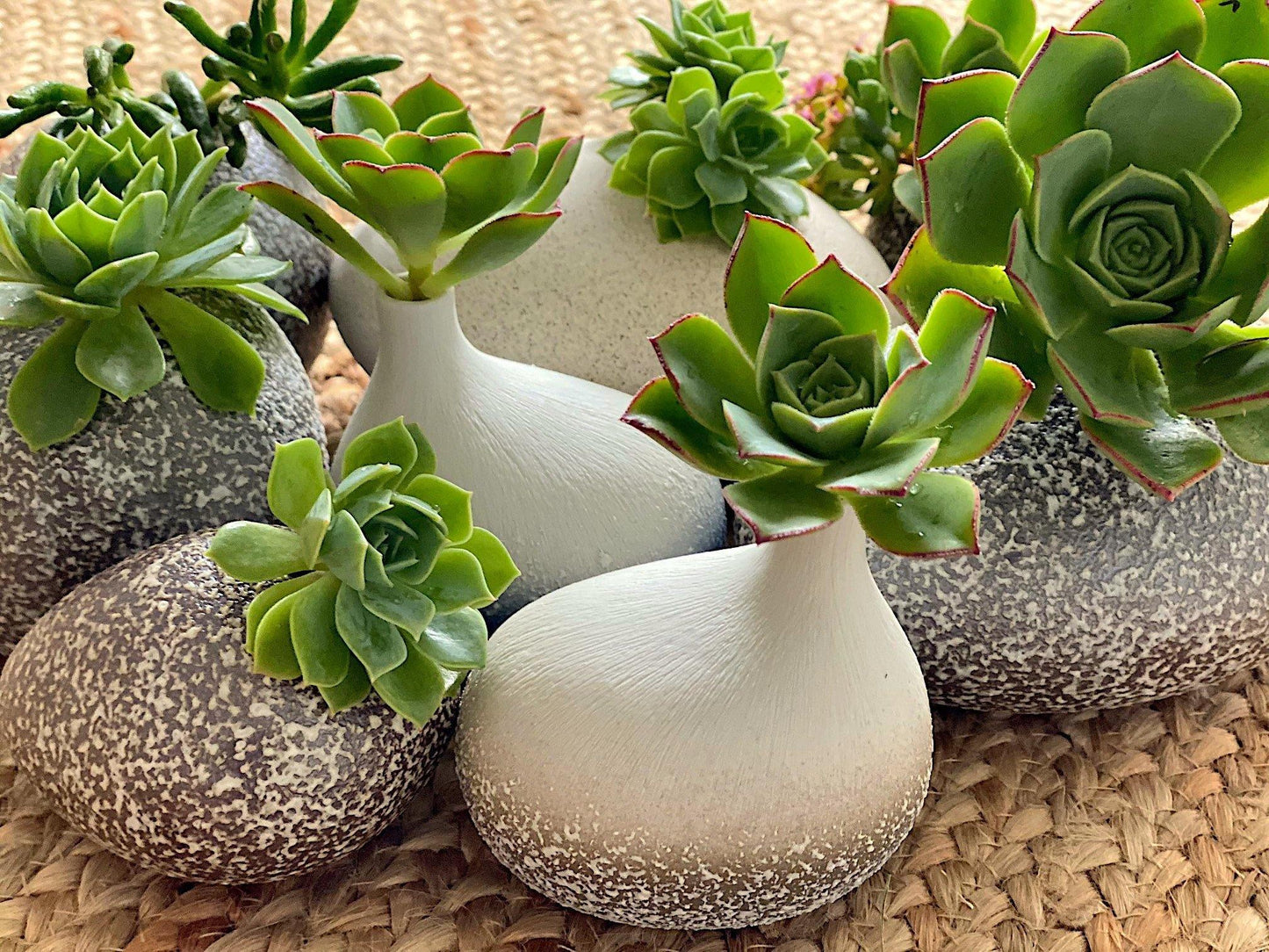 Wholesale - Pebble River Ceramics Living Green Decor