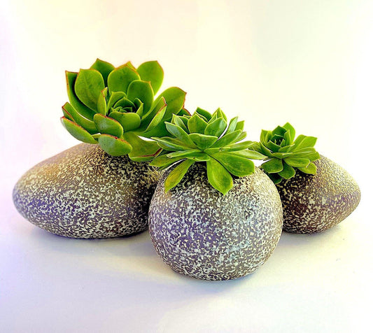 Wholesale - Pebble River Ceramics Living Green Decor